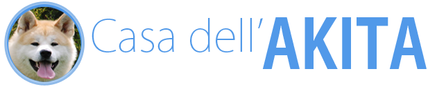 Allevamento Akita